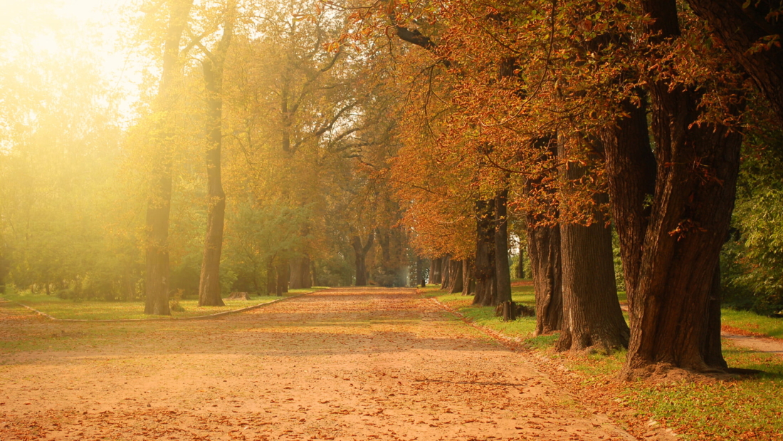 satisfacao-x-realizacao-repertorio-de-vicios